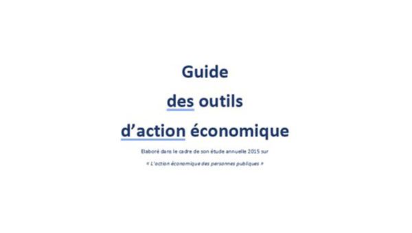 Le Conseil d’État publie 24 fiches actions pratiques pour soutenir le développement économique des territoires